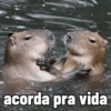 acorda pra vida