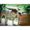 Flerte putaria 8