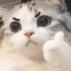 Gatos cura depresión😻 8