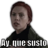 Memes Variados 🦭 7