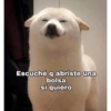 Escuché qabriste una bolsa sí quiero