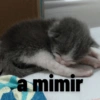 Nina felois 9