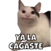 YA LA CAGASTE