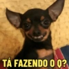 TÁ FAZENDO O Q?