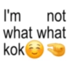 Anomali kocak  17