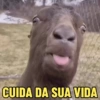 NOVAS ZUEIRAS 😋 13