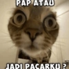 PAP ATAU JADI PACARKU ?