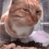 Meme random 21