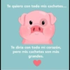 Frases para enviar 21