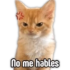 💢👊🏻😡 Enojados pal CHAT 👊🏻😡💢 11