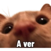 Michis Caóticos🐱 10