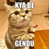 KYA BE GENDU