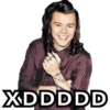 Lmao Harry Styles 5