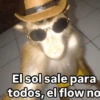 Memes 41 18