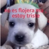 no es flojera ma estoy triste