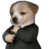 Memes 41 20