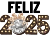 Año Nuevo 2025 🥂✨️ 14
