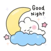 Good Night