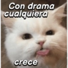 Con drama cualquiera crece