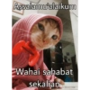 Assalamu'alaikum Wahai sahabat sekalian