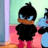 Zangadinhas 7