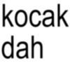 Anomali kocak  5