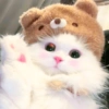 ➳ gato ⊱😽⊱╮
bit.ly/angels-69 23
