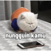 Kucing imlek 9