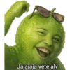 Los nuevos 13