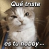 Qué triste es tu hobby...