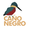 Aves de costa rica 6
