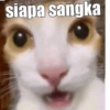 siapa sangka