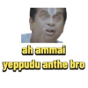 ah ammai yeppudu anthe bro