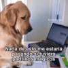 @postperronas Nada de esto me estaría pasando si tuviera padrinos mágicos