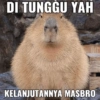 Capybara  27