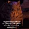 🥚😸Huevo disfrazado de Gato😸🥚 14
