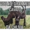 Paciencia,corno… 8