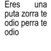 Eres una puta zorra te odio perra te odio
