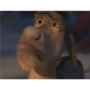 Burro suplicante