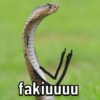 fakiuuuu