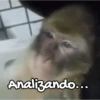 Analizando...