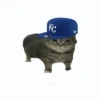KC