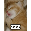 Random 22 11
