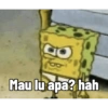 Meme SpongeBob 10
