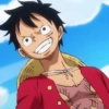 Luffy 14