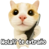 Frases de gatito #2🐱💬 6