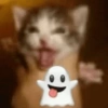 MEMES XD 11