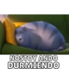 MASCOTAS? 8