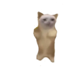 Random quby y cats 16