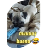 muuuuy bueno